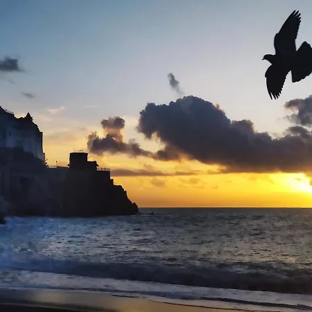 Casa Alfonso Apartment