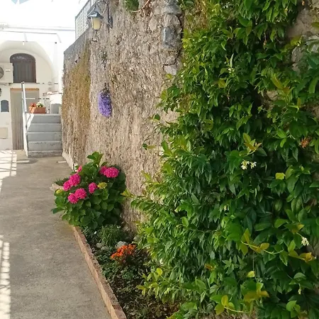 Casa Alfonso Minori